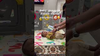 Baby guesses flash cards correctly babyshorts babyboy flashcards viral ytshorts trending [upl. by Anerat]