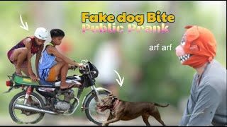 FAKE DOG BITE quotPUBLIC PRANKquot  Akala nila nakagat talaga sila 😂 [upl. by Survance]