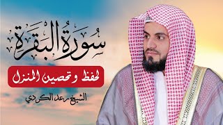 Sourate Al Baqarah  Cheikh Mohamed Raad Al Kurdi  سورة البقرة كاملة للقارئ الشيخ رعد محمد الكردي [upl. by Mcleroy]