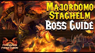 MAJORDOMO STAGHELM BOSS GUIDE  CATACLYSM CLASSIC [upl. by Yleak]