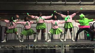 Alpha Kappa Alpha  2015 Greekdom NYC Stroll Off Round 1 [upl. by Sila648]