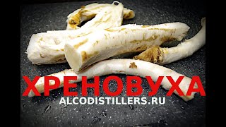 Хреновуха Аутентичный рецепт Authentic horseradish recipe [upl. by Aitram701]