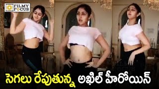 Sayesha Saigal Stunning Dance Video  Exclusive  Akhil  Filmyfocuscom [upl. by Enelrac5]