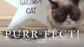 Grumpy Cat Joins CATS on Broadway [upl. by Honebein]