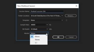 Adobe Audition 2 Channel Recording setup [upl. by Yousuf]