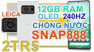 Đánh giá quotNHÂN PHẨMquot Sharp Aquos R6 mua shopee 2tr5 SNAP 888 12GB RAM OLED 240HZ LEICA [upl. by Onateag]