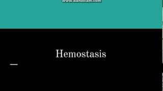 Hemostasis [upl. by Siurad]