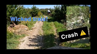 Ripping Sick MTB Trail NZ Natives [upl. by Emiatej]