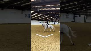 TGF Pastella  Prelim 1 2024  Northallerton Equestrian Centre [upl. by Bauer332]