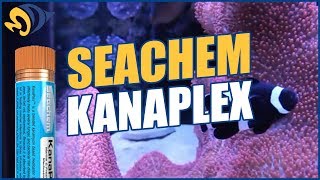 SeaChem KanaPlex Fungal and Bacterial Treatment What YOU Need to Know [upl. by Moncear57]