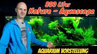 800 Liter Oldschool Natur Aquascape  2 Meter Aquarium [upl. by Aniretak]