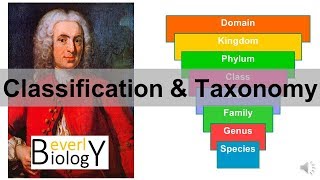 Classification and Taxonomy [upl. by Renckens]