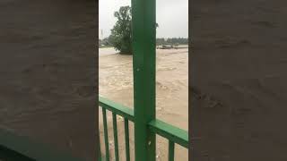 100 jähriges Hochwasser in StPölten Süd  Spratzern lage 927 [upl. by Drofhsa]