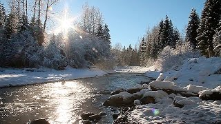 Entspannungs  Landschaft HD Naturgeräusche Wasser und Vogelgezwitscher [upl. by Bax]