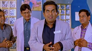 Brahmanandam Super Comedy Scenes  Preyasi Raave Movie  Funtastic Comedy [upl. by Normand]