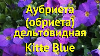 Аубриета дельтовидная Китте блю Краткий обзор описание характеристик aubrieta deltoidea Kitte Blue [upl. by Guthrey]