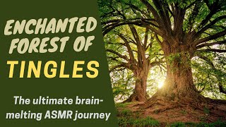 NSDR ASMR  Guided Forest Visualization for Tingles Anxiety Relief and Sleep [upl. by Husha]