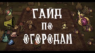 Полный гайд по ОГОРОДУ в Dont Starve Together [upl. by Appleton800]