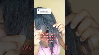 Thick hair Chronicles 4 months post relaxed hair hair relaxedhair shortsafrica [upl. by Marleah]