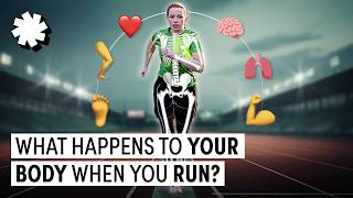 What Happens To Your Body When You Run 5k [upl. by Montano]