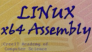 Linux x64 Assembly Tutorial 4 Passing Parameters and Coding [upl. by Treborsemaj117]