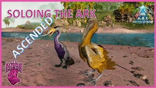 Taming Ichthyornis and Hesperornis Soloing ARK Ascended Ep 72 [upl. by Herv556]