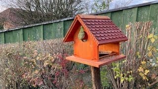 Vogelhaus bauen  In wenigen Schritten zum eigenen Vogelhaus [upl. by Gigi]