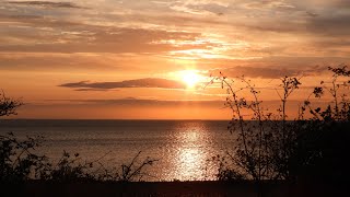 The walk to the Knott Spectacular at RSPB Snettisham Norfolk birds walk sea [upl. by Eniamat]