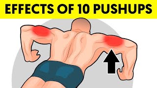 How 10 push ups everyday will completely transform your body [upl. by Licko]