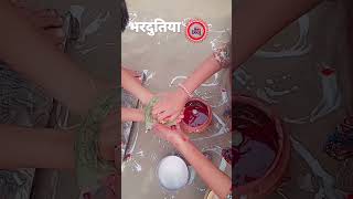 Kichhuyo na leb bhaiya👫✨️❤️🧿 music song bhaidooj specel trending viral maithli mithla [upl. by Hime]