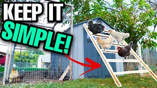 CHEAP And EASY DIY Chicken Roost [upl. by Chladek]