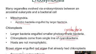 BIOL 1407 Lecture 28 Protists [upl. by Roper]