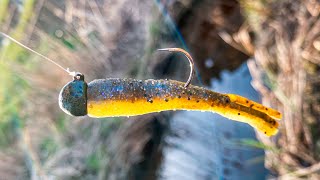 How to Fish Ned Rigs for Big Smallmouth Bass [upl. by Liban]