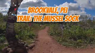 The Mussel Sock flowy single track trail located in Brookvale PEI [upl. by Ades934]