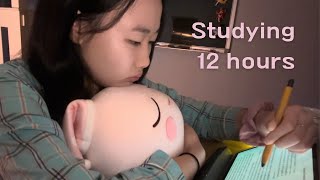 Study vlog❄️I tried studying 12 hours during winter break [upl. by Nigam905]