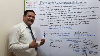 Ecosystem and components of ecosystemBiology10thChapter16Levels of ecological organisation [upl. by Giles]