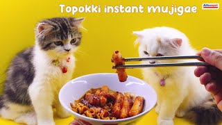 nyobain topokki instan mujigae [upl. by Terena732]