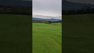 I am loving my new golf scope golf gifts upstateny httpsamznto3YUvqfY [upl. by Coop]