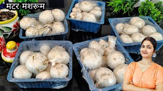 Matar Mushroom Banane Ka Bilkul Naya Tareeka Jo Sabko Pasand Aayega  मटर मशरूम [upl. by Baynebridge]