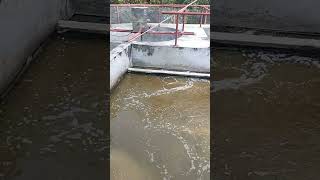 Wastewater treatment plant agriculture etp highlights effluent water [upl. by Eleanora]