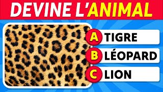 Peuxtu deviner 40 ANIMAUX avec UNE SEULE IMAGE 🐾🦁🔍 [upl. by Anavi]