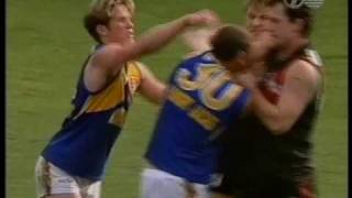 Essendon Vs West Coast SF 1996 [upl. by Nuli]