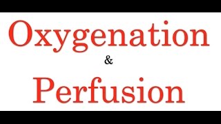 Oxygenation amp Perfusion [upl. by Aneetsyrk]