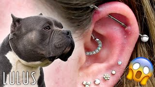 The Dog Ruined Her Piercing OMG  Vlog 02 [upl. by Otis]