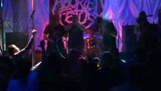 Aborted Fetus  Live  Extremum Festival 210209 [upl. by Ecydnac]