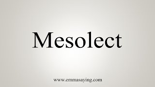 How To Say Mesolect [upl. by Cralg171]