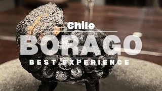 Boragó  Worlds 50 Best Restaurant [upl. by Amehsyt]