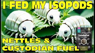 Isopods Eat Dried Nettles and Arcadia Custodian Fuel in Their Terrarium Home 4K Isopod House [upl. by Wiebmer]