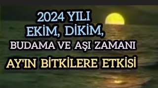 AYIN ESKİSİ Mİ YENİSİ Mİ Tohum Ne Zaman Ekilir Budama Ne Zaman Yapılır Ay takvimi nedir [upl. by Silliw146]