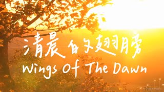 清晨的翅膀 Wings Of The Dawn  等候神音樂  靈修音樂Piano Soaking Music  Instrumental Music  Worship [upl. by Baggett]